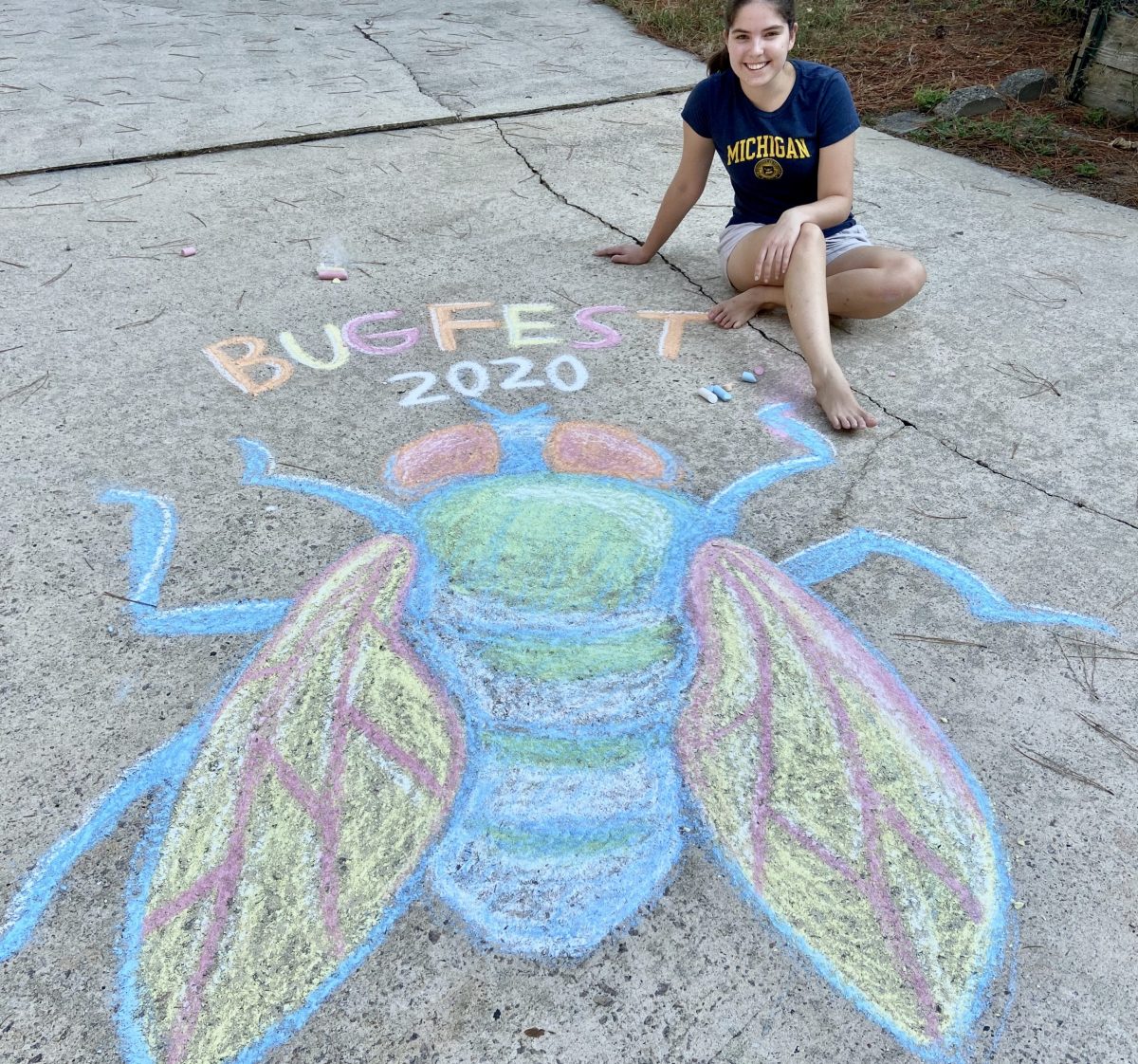 A beautiful fly drawn in chalk