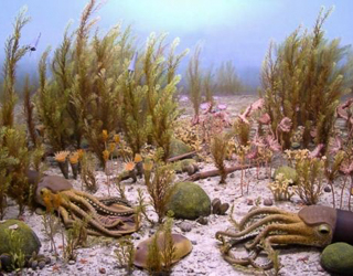 An Ordovician underwater scene with squid and seaweed