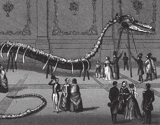 An old drawing of a supposed sea snake