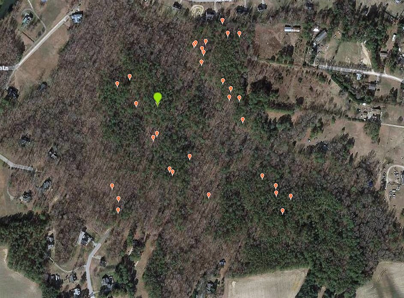 Map showing widespread occurrence of Ghost Pipes in the forest. Green icon is where I saw the first clump of plants. (iNaturalist map of my submitted observations) Google Maps. Map data copyright 2020, Imagery copyright 2020, Maxar Technologies, U.S. Geological Survey, USDA Farm Service Agency.