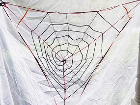 DIY Orb Weaver Spider Web