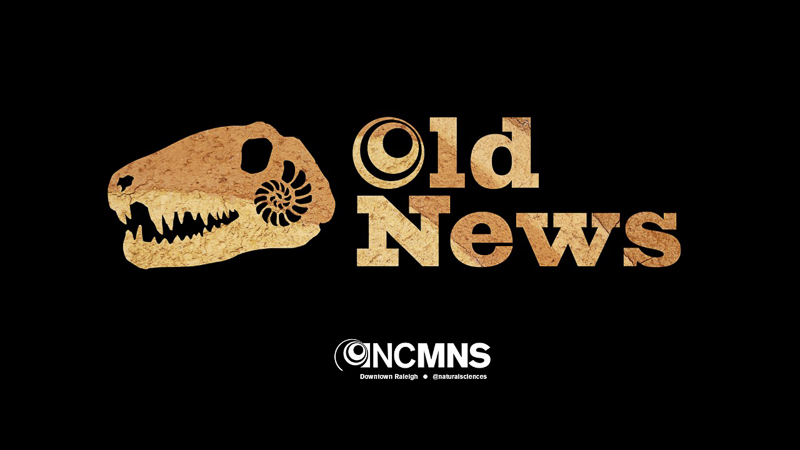 Old News logo