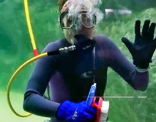 A scuba diver with a blue glove