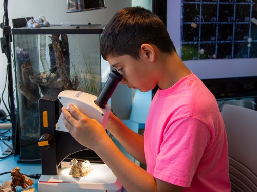 Teenage boy looking through microscope.