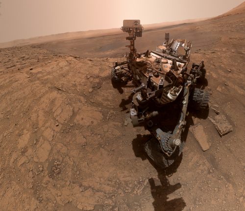 Curiosity selfie 2020