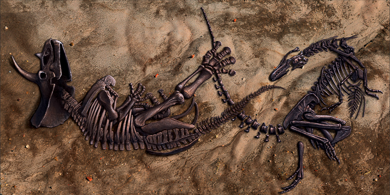 Dueling Dinosaurs. Copyright NCMNS. Illustration: Julius Csotonyi.
