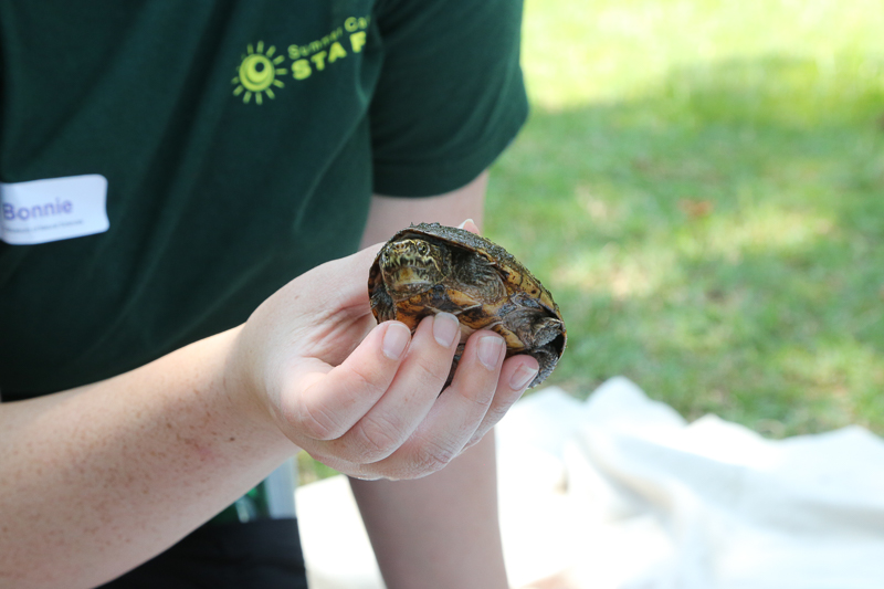 Summer Camp counselor holding a turtle