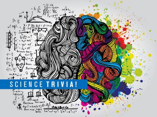 A colorful drawing of a brain