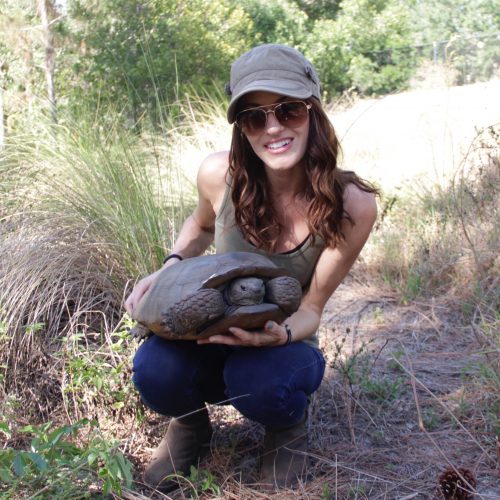 A woman with sunglasses holding a tortoise