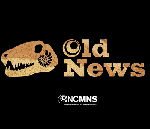 The Old News logo featuring a therapod skull