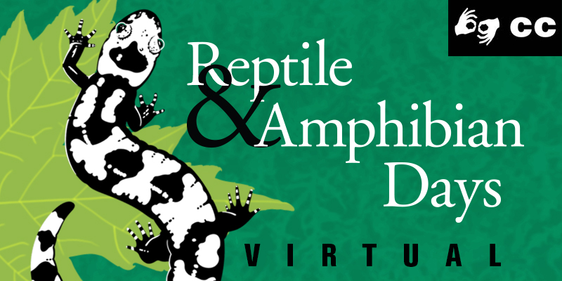 Virtual Reptile & Amphibian Days