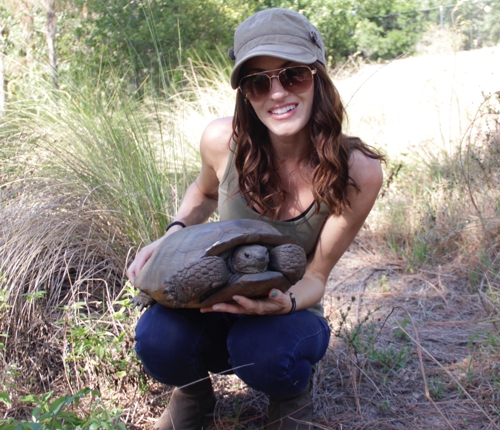A woman with sunglasses holding a tortoise