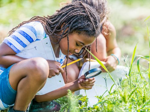 Girls with magnifying glass looking for bugs outdoors