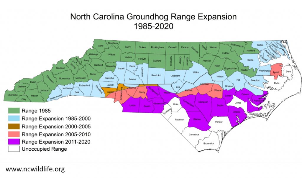 About Groundhogs | Programs and Events Calendar