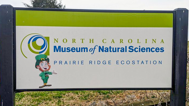 North Carolina Museum of Natural Sciences: Prairie Ridge Ecostation sign with leprechaun decoration.