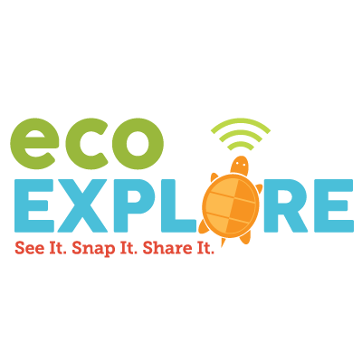 EcoExplore logo with a turtle