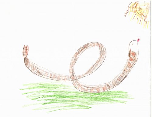 A green grassy floor with a brown crayon snake with a loop in its body. The brown snake has red markings on its body and pokes its rattle and tongue towards a yellow and orange sun.