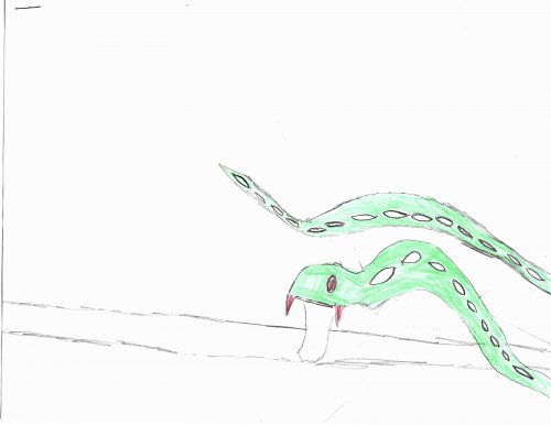 A crayon drawing of a green snake poking its head into the frame. The middle of its body is off screen, but the tail sticks out. The snake has red eyes and fangs, with white oval spots down the back.