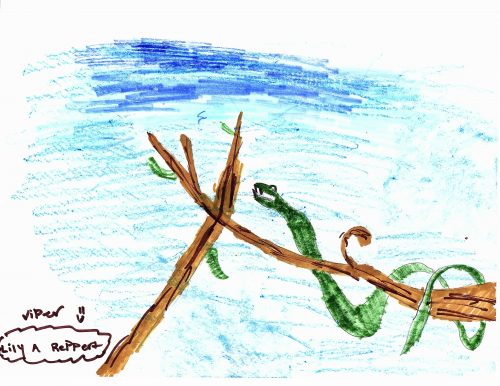 A green snake on a brown tree branch over a blue background. Painted with color pencils