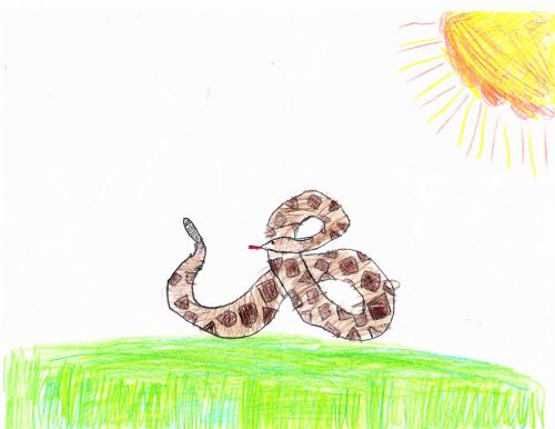 A brown snake on a green meadow under the yellow sun. Painted with color pencils