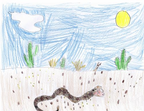 A scaly and spotted rattlesnake slithers across a field on a sunny day with cactus plants on the horizon.
