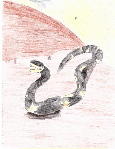 A black and white cottonmouth snake on a brown rocky landscape. Painted with color pencils