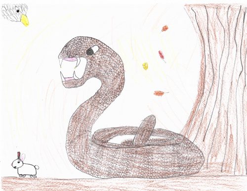 A gray snake sits curled up underneath a tree and stalks a bunny as a bird looks on overhead. Medium: Colored Pencil