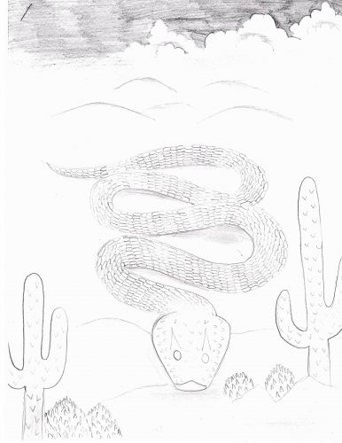 A snake in a desert going towards the camera. Painted with pencil