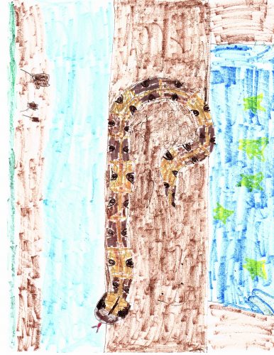 A brown and tan gaboon viper on a brown tree trunk with blue sky and yellow stars above. Drawing done in marker.