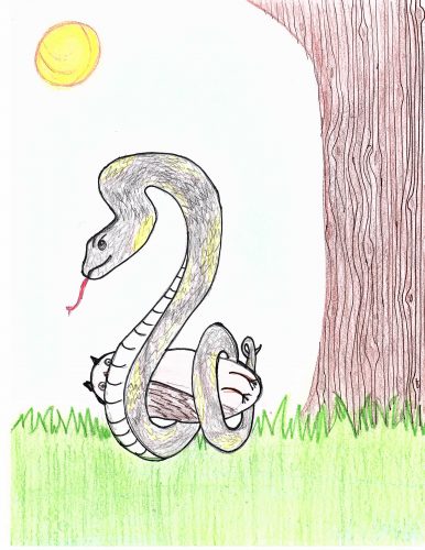 A snake wrapped around an owl next to a tree with a yellow sun in the sky. Drawing done in colored pencil.