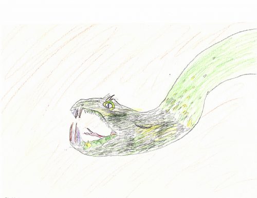 A viper head with yellow eyes, mouth open and tongue sticking out. Drawn with colored pencils.