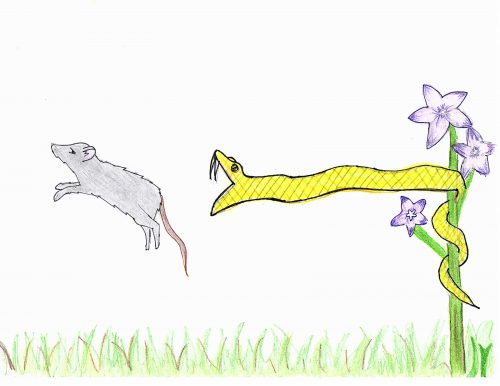 A yellow snake trying to catch a grey mouse. Painted with crayons