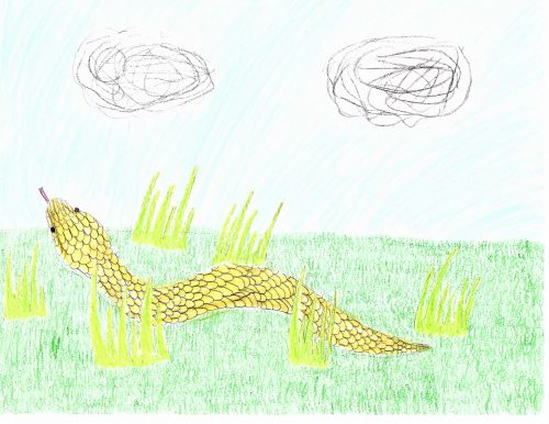 A landscape scene with a blue sky and green grass. Clouds float overhead as a yellow viper slithers in bright green tufts of prairie grass. The snake has a short, fat body and well-defined diamond scales. It’s head is turned up to the sky.
