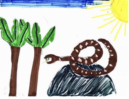 A marker drawing with vibrant colors. A bright blue sky with yellow sun in the top right corner. Below a brown viber with yellow markings on its back lies coiled on a large rock below two tall brown palm trees with green fronds.