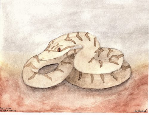 A viper painted with watercolors over a red and blue background