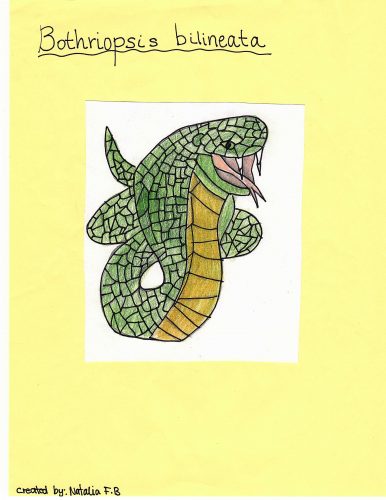 A green scaly cobra drawn with crayons or colored pencils with mouth agape, showing long white fangs and a red, forked tongue. The snake has a yellow belly and green eyes.