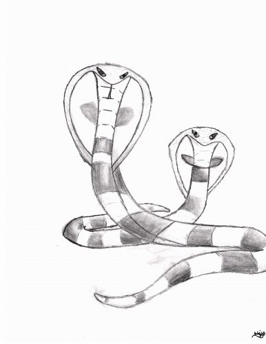 viper snake head drawings