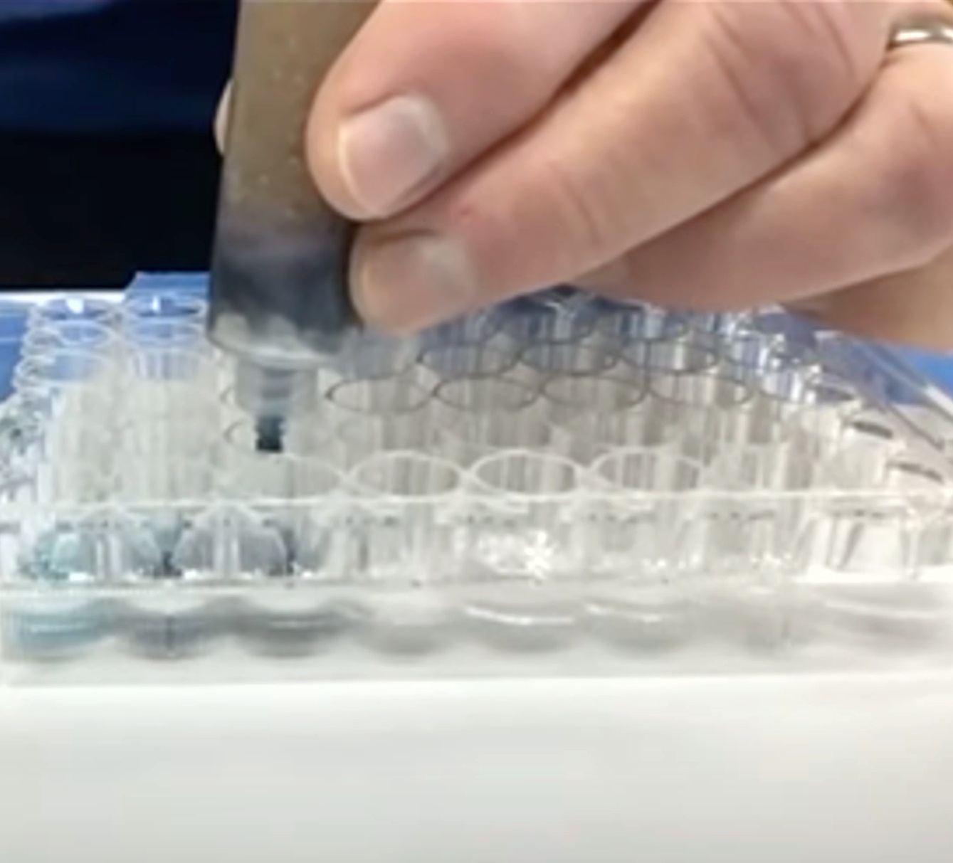 DIY Column Chromatography & Drug Development Programs and Events Calendar