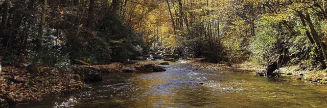 Henry Fork River