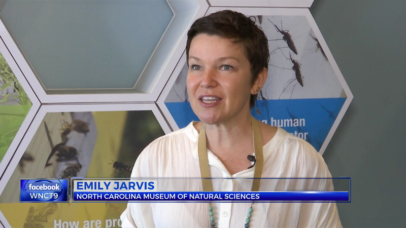Emily Jarvis, Director of the NCMNS at Greenville, being interviewed by WNCT