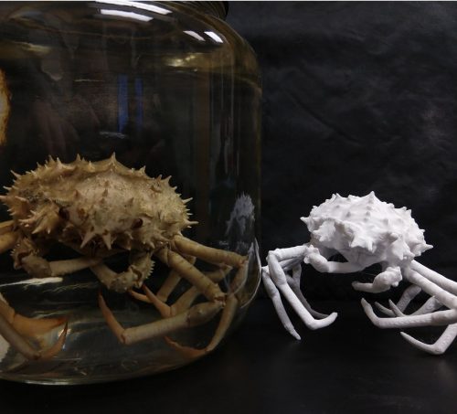 A crab in a specimen jar next to a 3D printed crab