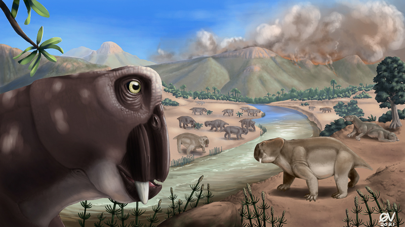 Illustration of the Karoo Basin during the mass extinction at the end of the Permian, some 252 million years ago. The protomammal Lystrosaurus shown in the foreground. Lystrosaurus is what paleontologists call a “disaster taxon” — a group that thrived during a time when most other life was struggling. Illustration: Gina Viglietti.