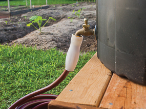 Rain barrel with hose attached.