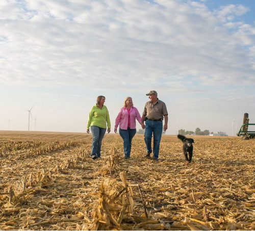 Three people and a black dog walking through a farm field