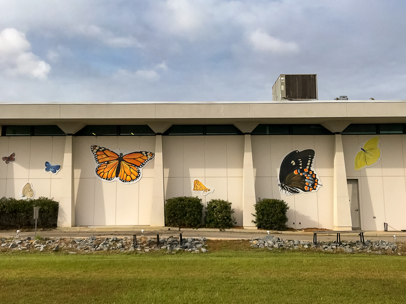 Butterfly mural at NCMNS Whiteville.