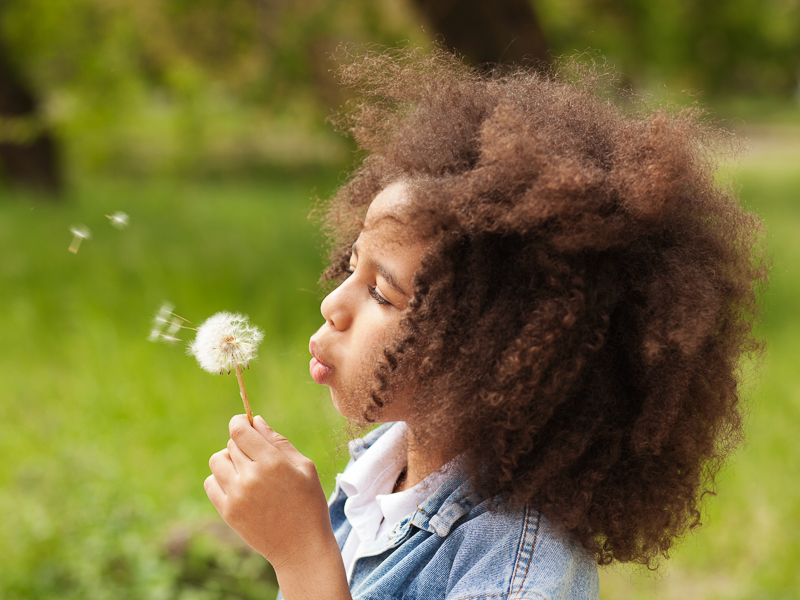 Girl blowing on a dandelion puffball.