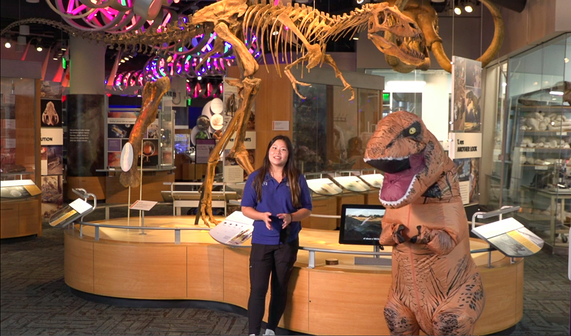 Museum educator and our T. rex mascot in front of the juvenile T. rex.