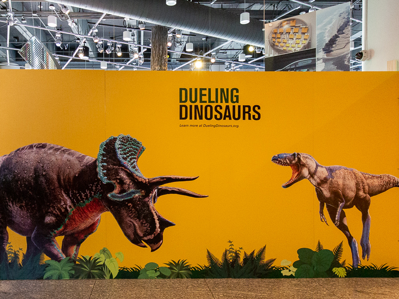 Dueling Dinosaurs teaser wall selfie station.