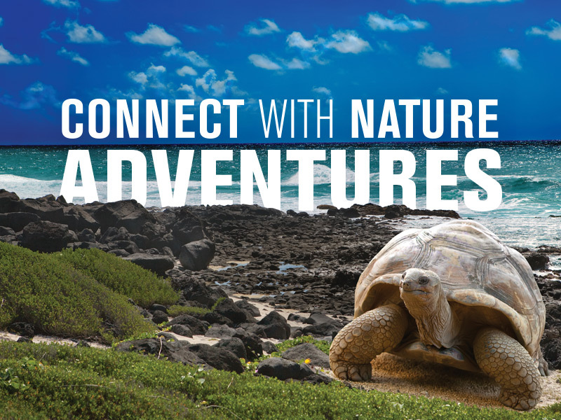 Connect With Nature Adventures