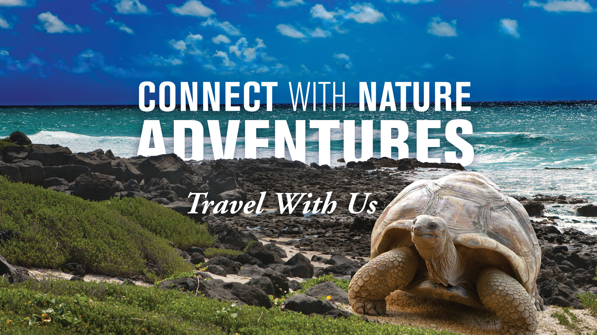 Connect with Nature Adventures